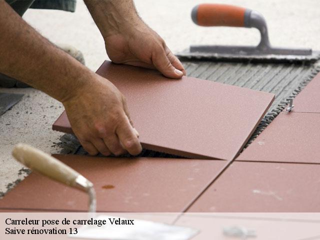 Carreleur pose de carrelage  velaux-13880 Saive rénovation 13